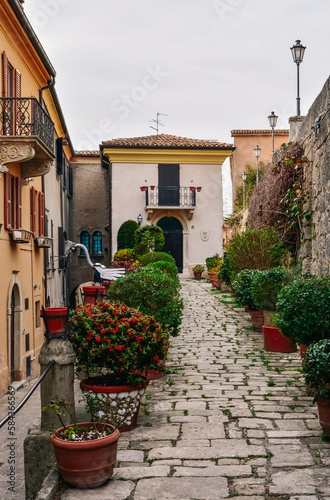 Vertical shot of the downtown street buildings view with narrow paths and plants  San Marino