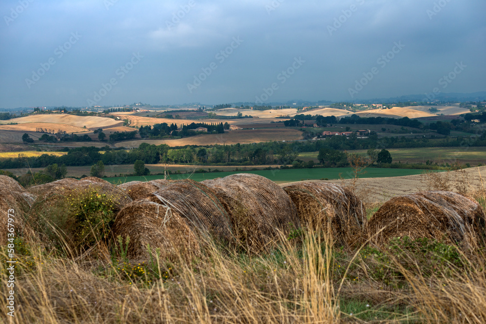 Tuscan landscape of the Sienese hills Tuscan landscape of the Sienese hills