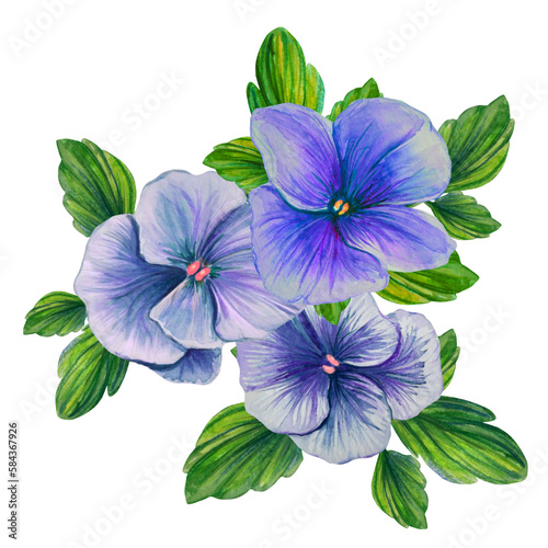 composition of purple pansies watercolor illustration © TanyaArt