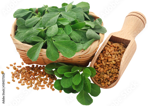 Fototapeta Naklejka Na Ścianę i Meble -  Fenugreek seeds with green leaves