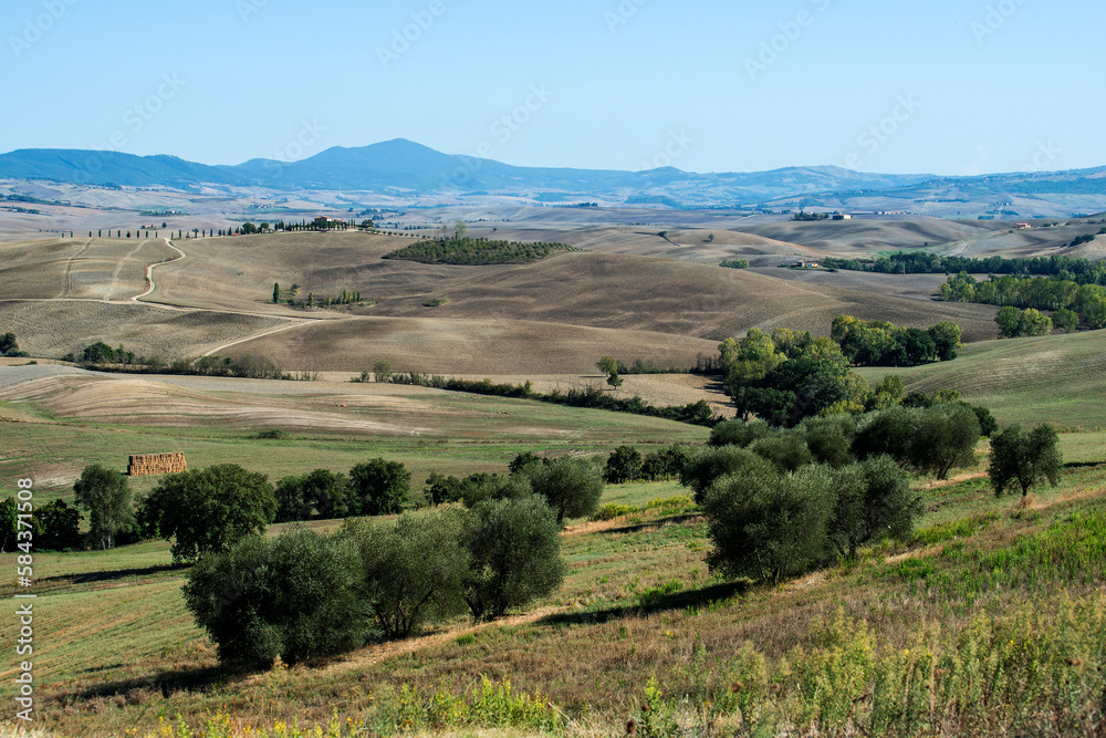 Naklejka premium Tuscan landscape of the Sienese hills