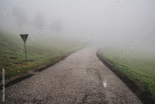 Empty road passing by green field in fog photo