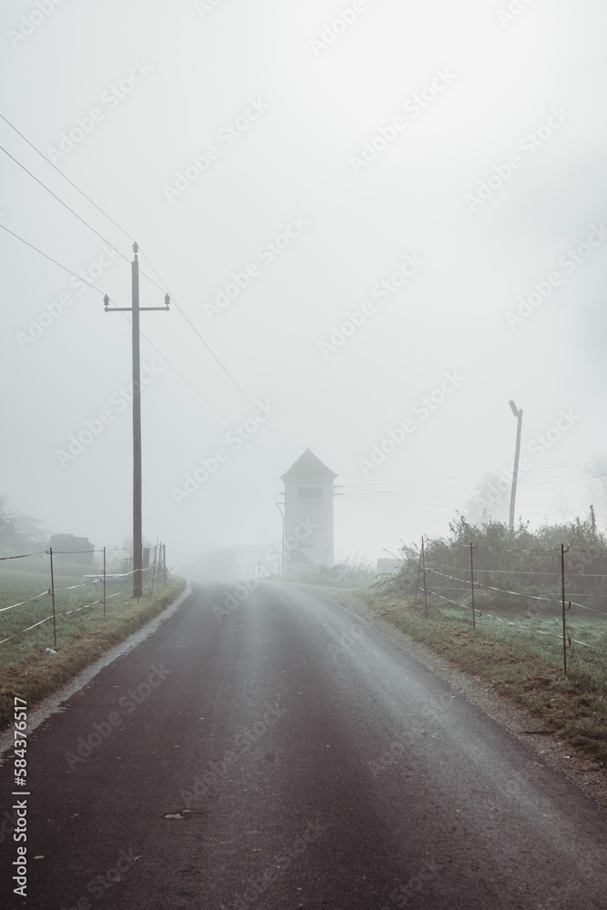 Empty rural road passing by forest on foggy day Empty rural road passing by forest on foggy day