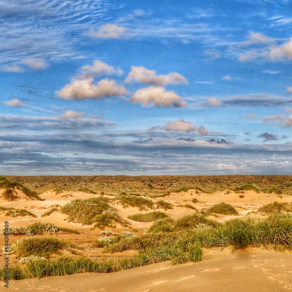Fototapeta premium Australien Dünen