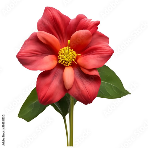 red flower isolated on white - dahlia flower on white background - Flowers Background - Generative AI