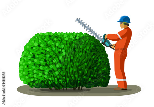 Arborist worker with hedge trimmer pruning tree. Clip art of tree surgeon gardener vector illustration on white background