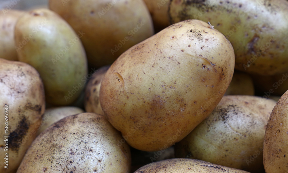 Close up heap of new potato at retail display Close up heap of new potato at retail display