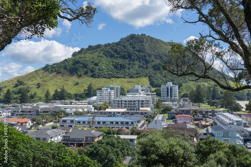 Landmark Mount Maunganui and residential area framed by pohutukawa trees