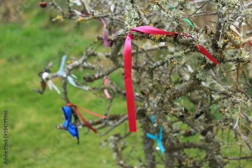 May Bushes, Fairy Trees, Wishing Trees, or Rag Trees - Tree with ribbons tied to it, usually hawthorn