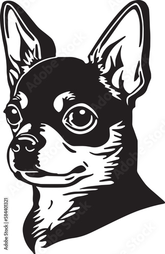 Chihuahua dog face isolated on a white background, SVG, Vector, Illustration.	