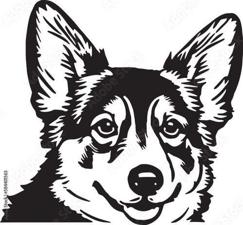 Corgi dog face isolated on a white background, SVG, Vector, Illustration.	