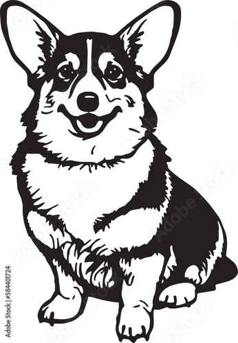 Corgi dog face isolated on a white background, SVG, Vector, Illustration.  © Dmytro