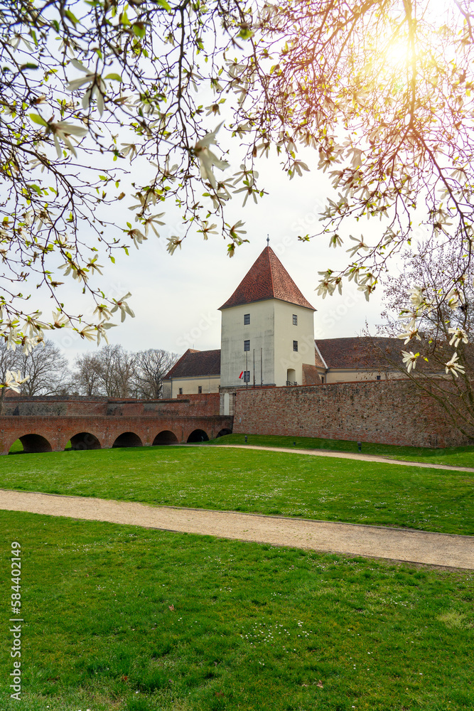 blooming tree spring time next to Sarvar castle in Hungary blooming tree spring time next to Sarvar castle in Hungary