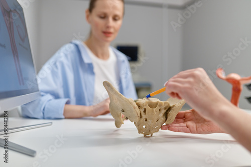 Closeup gynecologist showing structure of pelvis and pelvic floor to woman photo