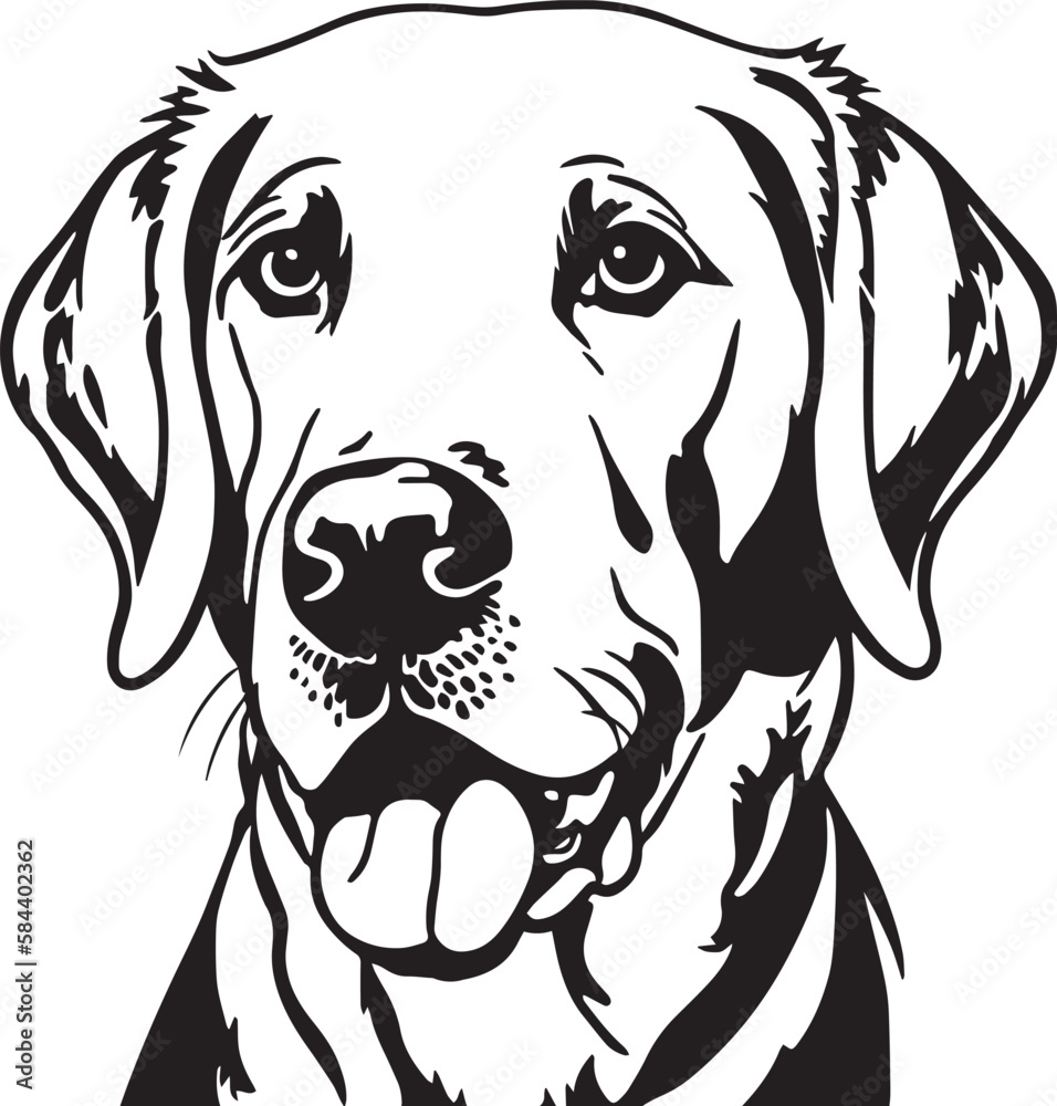 Labrador Dog Face Isolated On A White Background SVG Vector labrador-dog-face-isolated-on-a-white-background-svg-vector