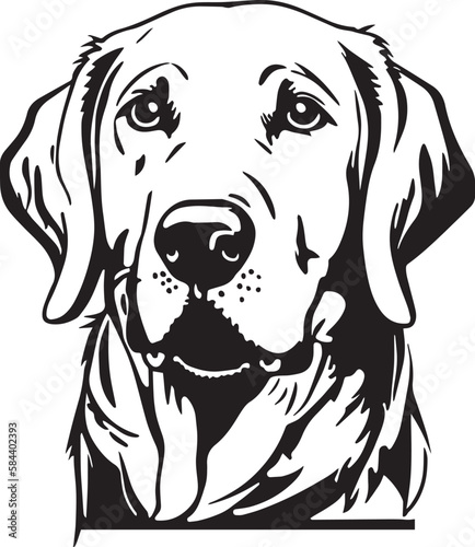 Labrador dog  face isolated on a white background, SVG, Vector, Illustration.	
