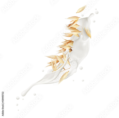 Dried oat plant with milk splashes isolated on white background