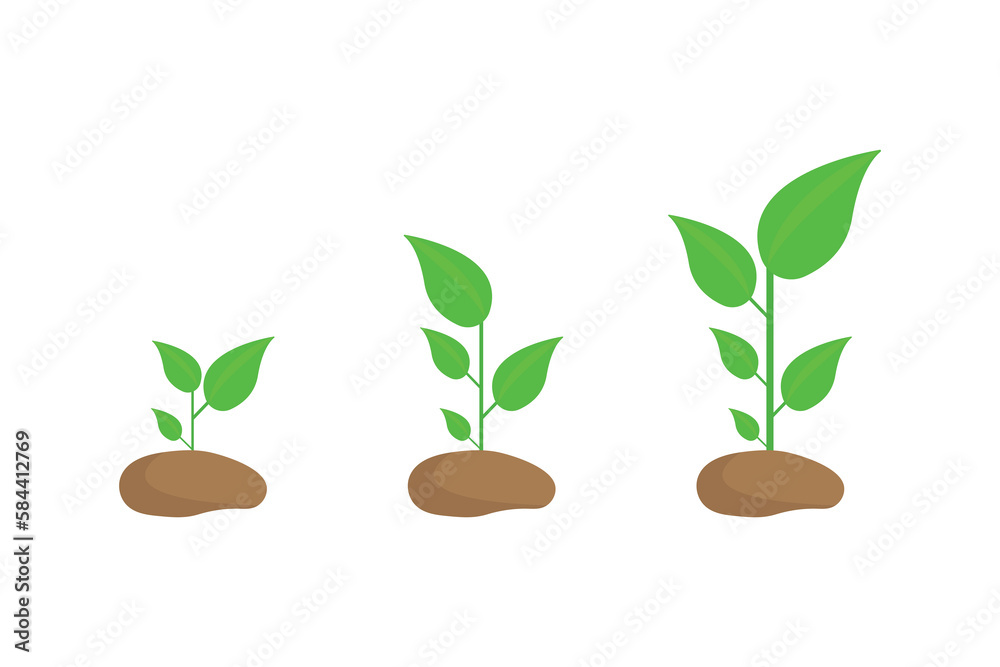 Plants Growth Icon Isolated On White Background. Vector Illustration Plants Growth Icon Isolated On White Background. Vector Illustration