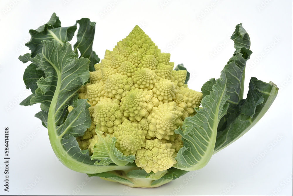 Fotografie Romanesco, Brassica, oleracea