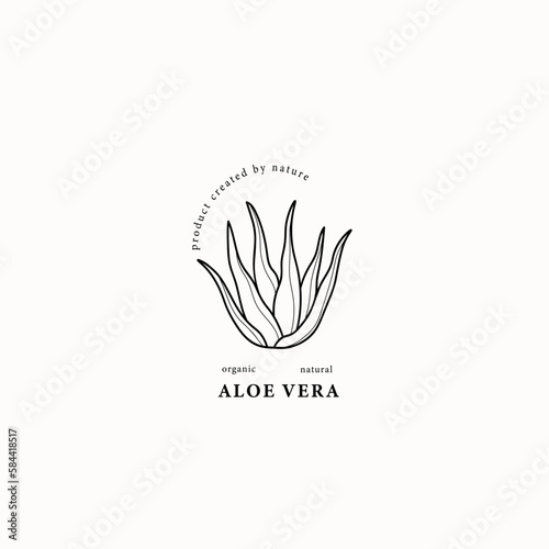 Line art aloe vera plant illustration