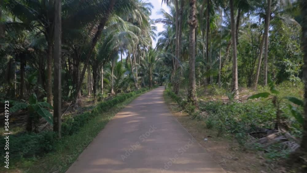 Riding a scooter on a path surrounded by palm trees, in Thailand Riding a scooter on a path surrounded by palm trees, in Thailand