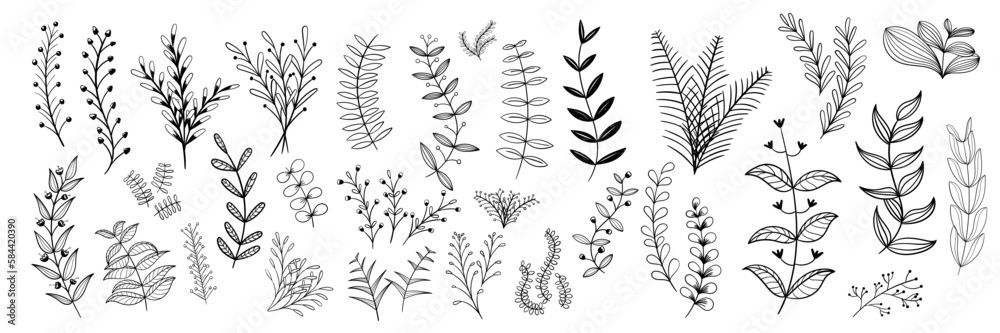 Realistic flowers line art set. Perfect for illustrations.