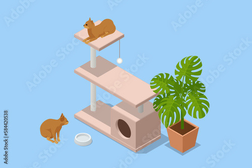 Cute funny cat and tree in room. House cat or Cat tree on white background. Cat Tower with Scratching Posts