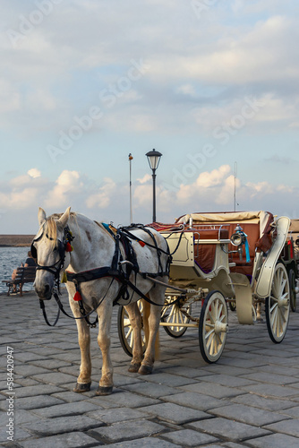 Cart with a horse for tourists in the port of the Greek city of Chania