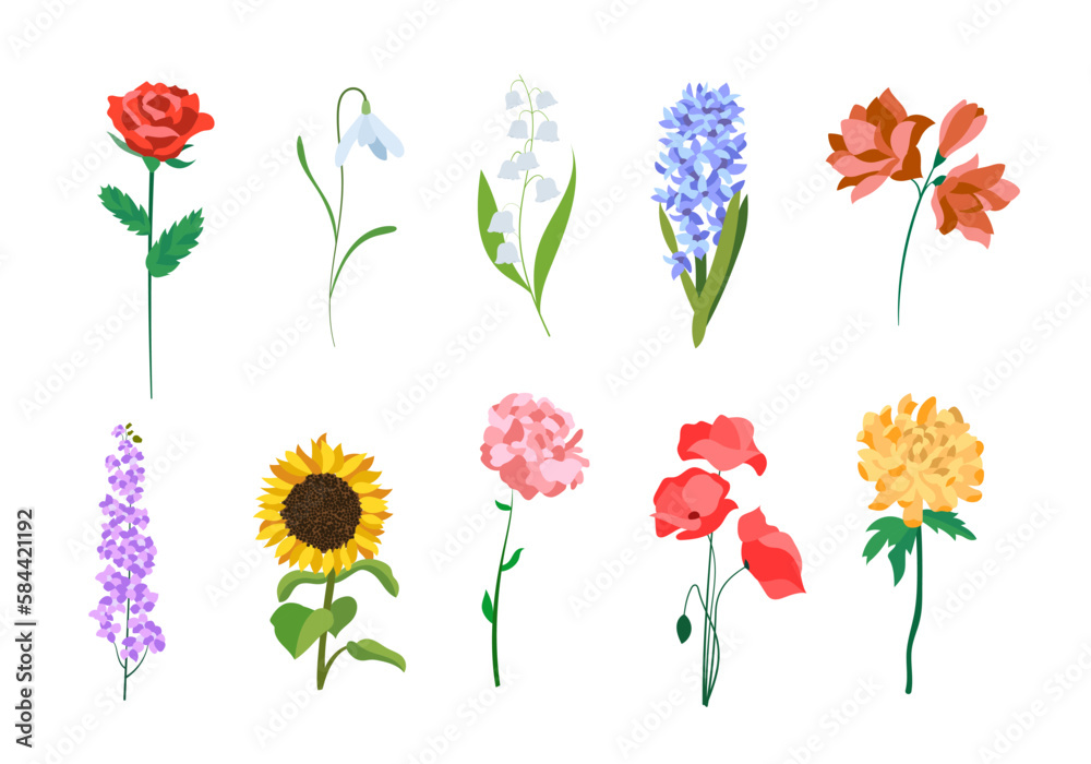Realistic colorful flat flowers. Perfect for illustrations and nature education.