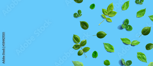 Green leaf border design background - flat lay