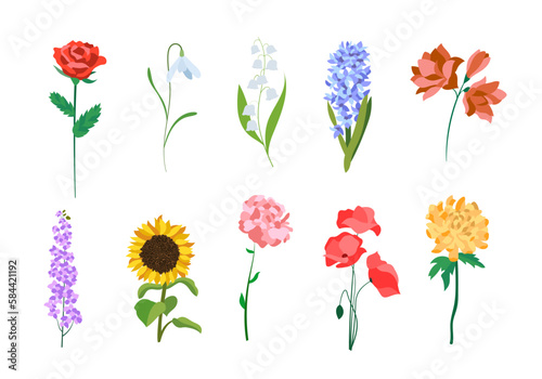 Realistic colorful flat flowers. Perfect for illustrations and nature education.