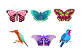 Fluttering Tropical Butterfly with Brightly Coloured Wings and Perching Bird Vector Illustration Set