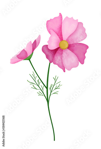 Realistic textured pink cosmos flower. Stipple texture.