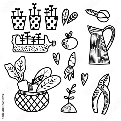 Vector set of elements. Spring summer gardening collection in doodle hand drawn style. Equipment for Growing plants watering can, boots, seeds, gloves, vegetables, seedlings. Nature, garden
