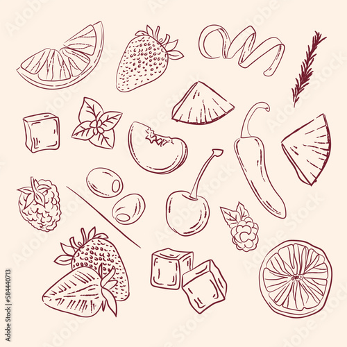 Set of vector illustrations of fruit for making cocktails hand-drawn. vintage fruit illustration for menus