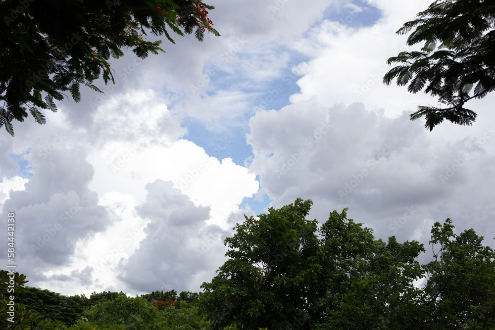 Obraz premium Blue sky with white clouds