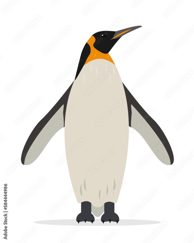 Naklejka premium Penguin icon isolated on white background. Big Emperor or King penguin, bird of Antarctica. Flat or cartoon nature animal vector illustration.