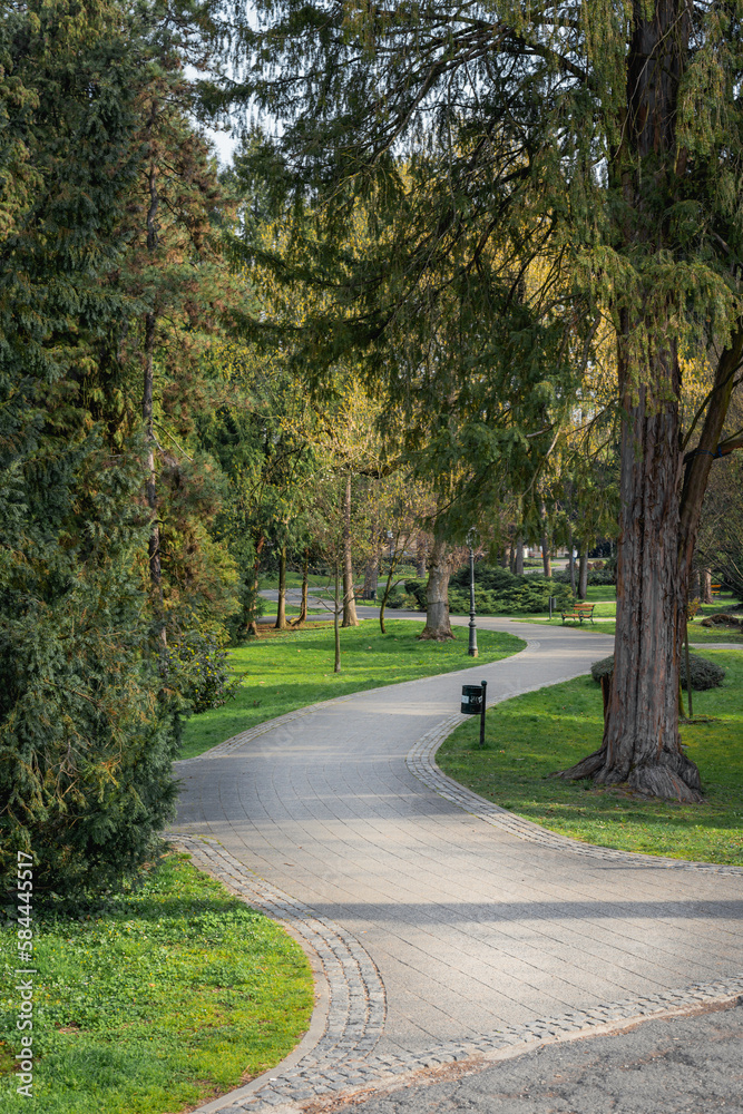 path in the park, with tall old evergreen trees, europe, croatia