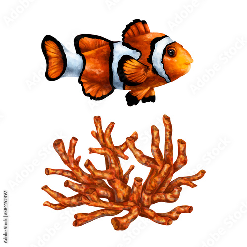 A set of orange-colored marine objects. Clown fish and red coral. Tropical underwater world  digital illustration. For design  packaging  printing  posters  textiles  souvenirs