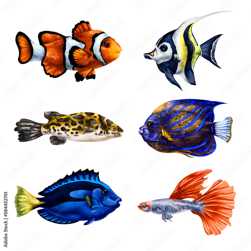 Fototapeta premium A set of tropical marine fish. Underwater world, digital illustration. For design, packaging, printing, posters, postcards, textiles souvenirs