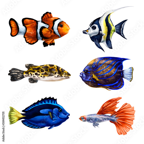 A set of tropical marine fish. Underwater world, digital illustration. For design, packaging, printing, posters, postcards, textiles souvenirs
