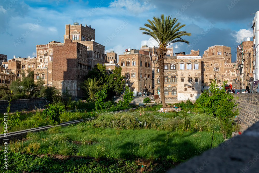 Vegetable garden among traditional architecture . Inhabited for more than 2.500 years, the Old City of Sanaa is a UNESCO World Heritage City