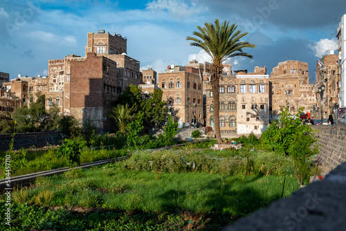 Vegetable garden among traditional architecture . Inhabited for more than 2.500 years, the Old City of Sanaa is a UNESCO World Heritage City
