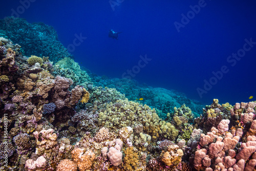 Korallenriff mit Silhouette eines Tauchers im Hintergrund