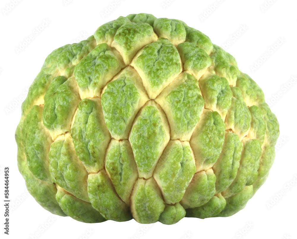Fototapeta premium Ripe custard apple