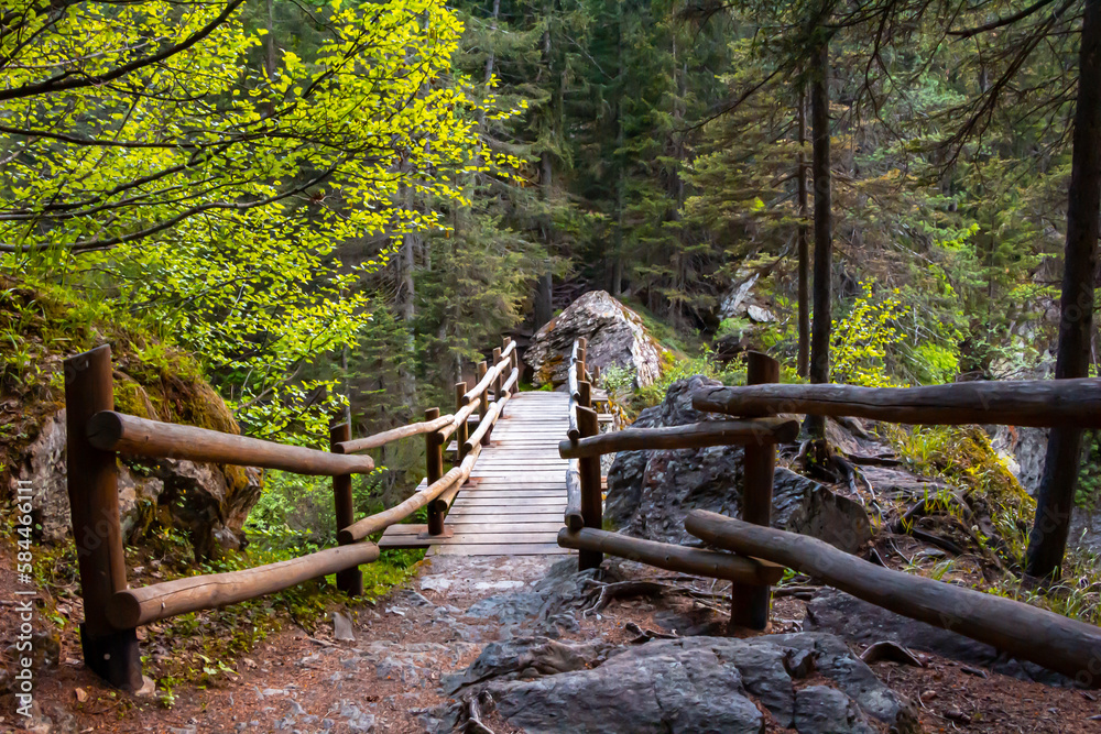 Wooden bridge over the Rutor waterfalls. Mountain view among trees roots rocks and fence in the forest. La Thuile. Pathway in the woods. Rutor glacier. Italian Alp in summer. Alps Italy. Aosta Valley
