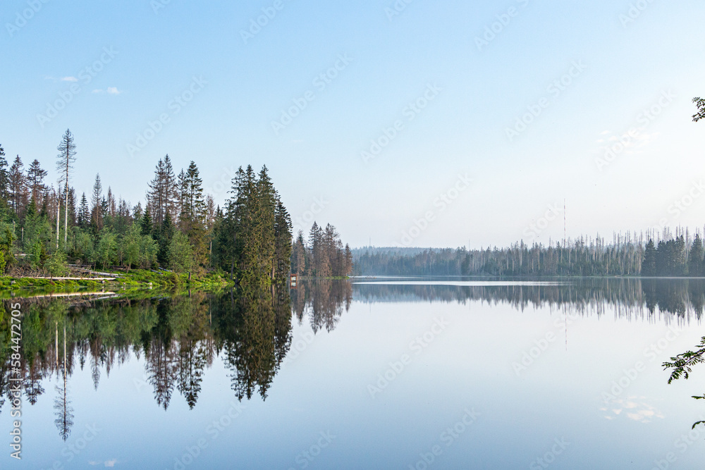 Fototapeta premium Oderteich Spiegelung