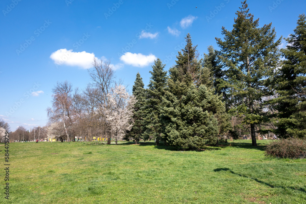 Spring view of South Park in city of Sofia, Bulgaria Spring view of South Park in city of Sofia, Bulgaria