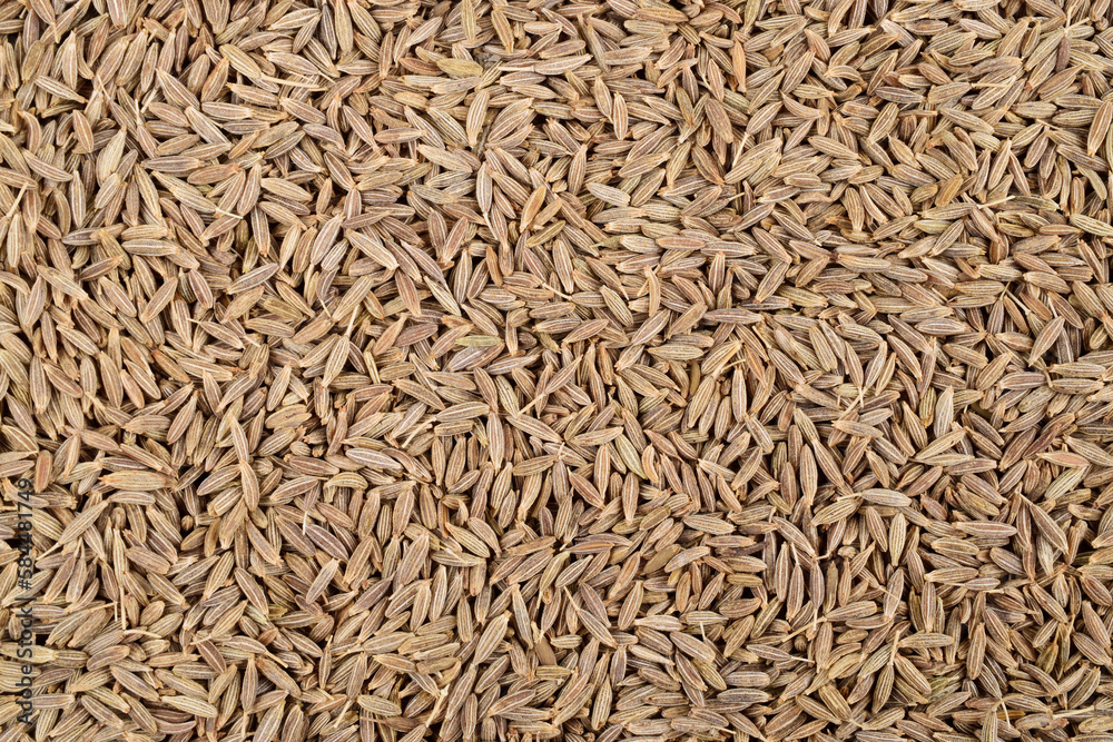 Cumin seeds texture background, caraway seeds