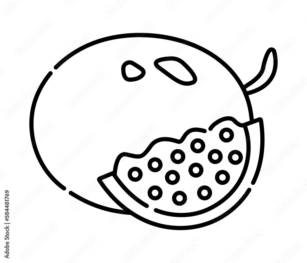 Passion fruit black and white vector line illustration Passion fruit black and white vector line illustration